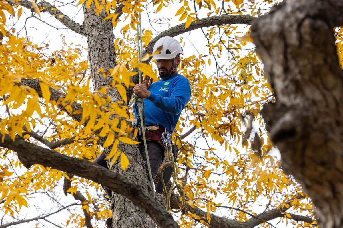 Skilled Storm Damage Cleanup crew working in Blacklick